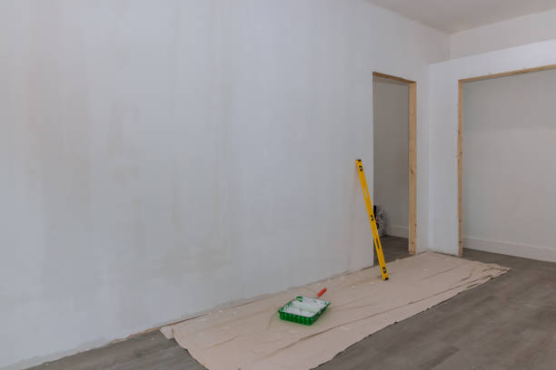 Best Drywall Removal and Disposal  in Kewanee, IL